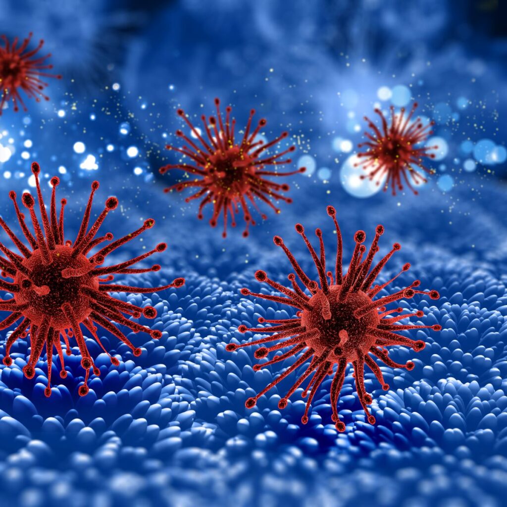 NIPAH VIRUS