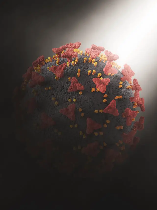 MEASLES IS BACK:STAY PROTECTED IN 2025